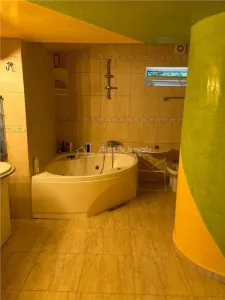 Armeneasca, Vila individuala, Curte comuna - foto 17