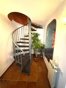 Armeneasca, Vila individuala, Curte comuna - foto 10