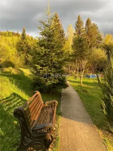 Pensiune - Restaurant - Cabanute - Lac pescuit - foto 4