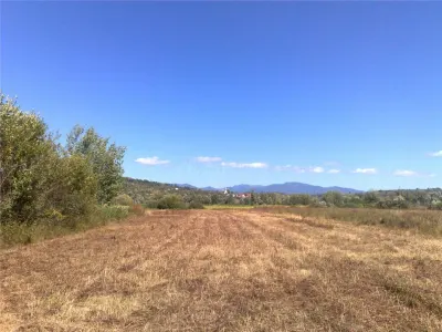 Teren intravilan 55 Ari Sacalaseni strada principala - Baia Mare