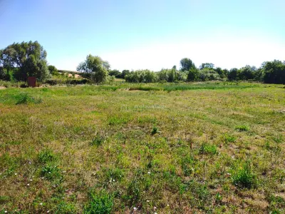 Teren 18.247 mp cu balta de pescuit – Misca, Comuna Chislaz, Bihor - foto 9