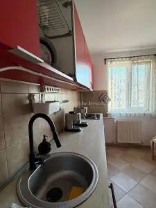 2 camere - boiler - Tineretului  - Trestiana - foto 4