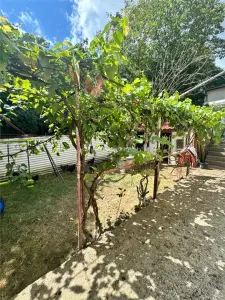 Casa D+P+M - Aurel Vlaicu - foto 3