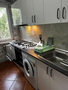 Apartament 2 camere, Drumul Taberi - foto 3