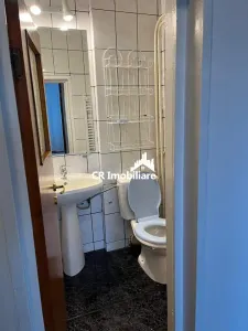 Apartament 3 camere, Parcul Circului - foto 4