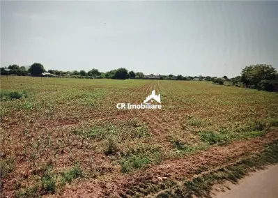Teren generos in vadul localitatii Ciolpani - Ciolpani