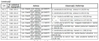 Spatii industriale pe teren de 11043 mp Daesti Valcea - foto 14