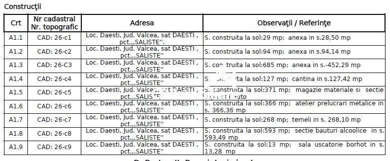 Spatii industriale pe teren de 11043 mp Daesti Valcea - foto 14