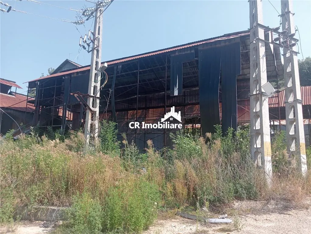 Spatii industriale pe teren de 11043 mp Daesti Valcea - foto 6