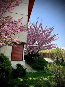 Vila de vanzare 5 camere Sisesti - foto 3