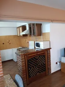 1 camera, 45 mp, Mobilat si Utilat, bloc cu lift, Garii - foto 3