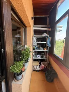 STUDIO Modern Tei - Colentina - foto 10