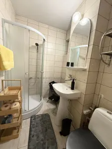 Apartament 3 camere Copou – Titu Maiorescu | Pet-Friendly - foto 7