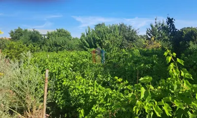 Casa 4 cam+ teren 1286 mp deschidere 18 m Chiscani zona Primariei - foto 4