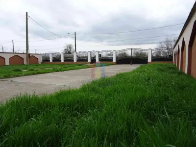 Vila P+1, constructie 2013, teren 700 mp, la 50Km de Braila - foto 8