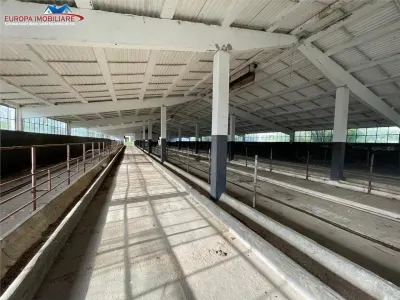 Ferma de vanzare in localitatea Bestepe - foto 12