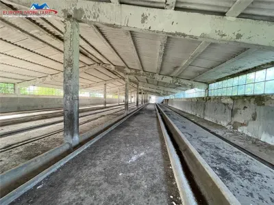 Ferma de vanzare in localitatea Bestepe - foto 15
