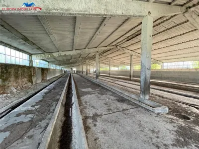 Ferma de vanzare in localitatea Bestepe - foto 18
