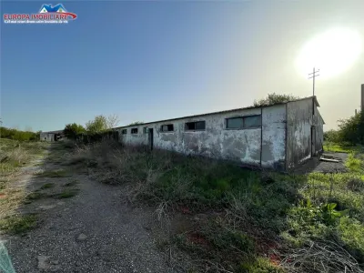 Ferma de vanzare in localitatea Bestepe - foto 23
