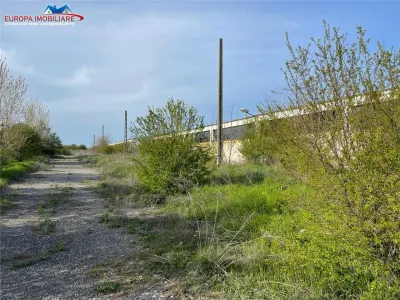 Ferma de vanzare in localitatea Bestepe - foto 9