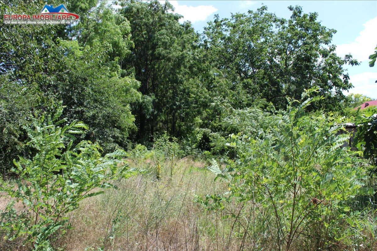Teren + 2 corpuri de casa de vanzare in zona Dallas - Tulcea