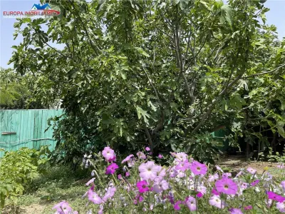 Casa de vanzare Tudor Vladimirescu Tulcea - foto 21