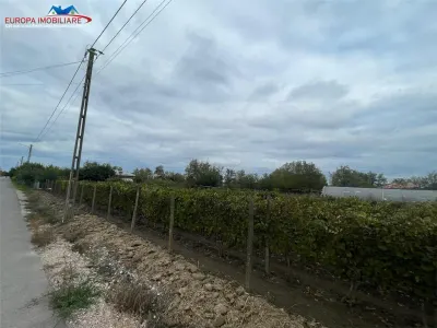 Teren de vanzare in localitatea Iazurile judetul Tulcea - foto 11