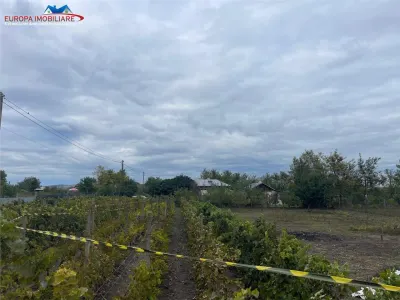 Teren de vanzare in localitatea Iazurile judetul Tulcea - foto 8