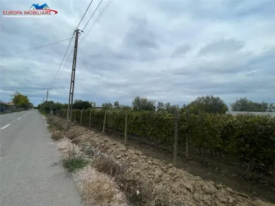 Teren de vanzare in localitatea Iazurile judetul Tulcea - foto 10