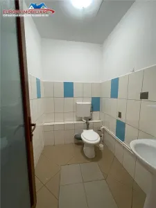 Spatiu de vanzare zona ultracentrala Tulcea - foto 18