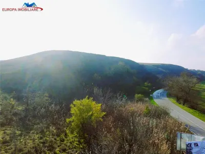 Teren de vanzare in Delta Dunarii loc. Nufaru - Nufaru