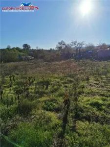 Teren de vanzare in Nifon Tulcea - foto 5