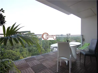 Luxury apartment One Herastrau Park! Amazing view! - Bucuresti