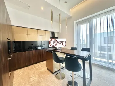Luxury Penthouse for sale//Herastrau-Amazing view//3 parking - foto 11