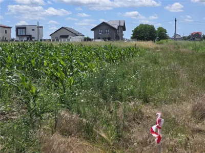 Vand teren 5000 mp extravilan langa case, Berceni - Berceni