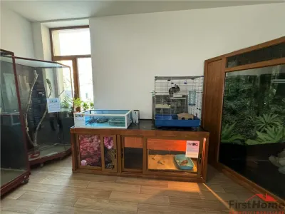 Cladire cu un aspect aparte de inchiriat in Centrul Focsaniului - foto 18