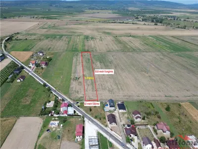 Teren in Golesti 9.848mp intravilan + extravilan  pret 6 euro / mp - foto 4