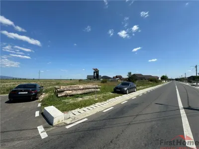 Teren in Golesti 9.848mp intravilan + extravilan  pret 6 euro / mp - foto 8