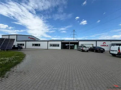 Spațiu Industrial Modern | Producție, Depozitare, Logistică - foto 16