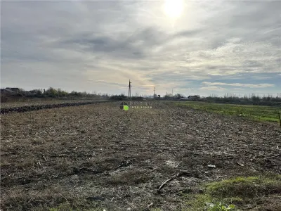 Teren intravilan Boldesti Scaieni - foto 5