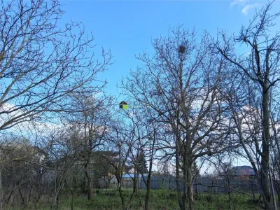 Vanzare teren intravilan 3715 mp – ideal pentru dezvoltare rezidentiala - foto 9