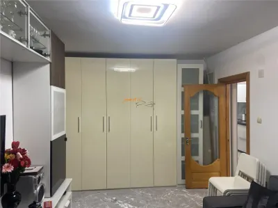 Apartament 2 camere , zona Gara , et 1/4 , renovat integral , mobilat modern - foto 10