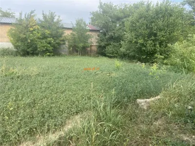 Casa si teren de vanzare in Suraia, zona Cimitirul central ,2087 mp , deschidere 52ml - foto 4