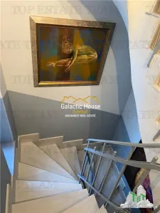 CASA SPECTACULOASA DOROBANTI CAPITALE PRETABILA FIRMA SAU REZIDENTA - foto 18