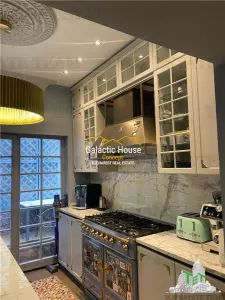 CASA SPECTACULOASA DOROBANTI CAPITALE PRETABILA FIRMA SAU REZIDENTA - foto 20