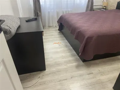 Apartament 2 camere, zona Gara , etaj 1 din 4 , renovat integral , mobilat complet - foto 18