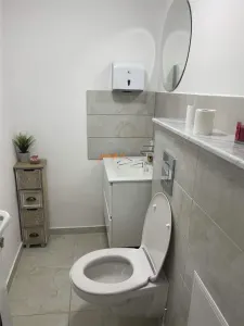 Spatiu comercial de vanzare situat in cartier Sud cu suprafata de 60 mp, renovat - foto 5