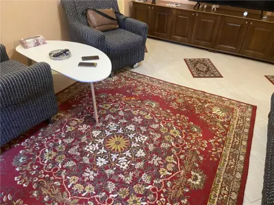 apartament 3 camere , zoma hipermarket Kaufland , parter , 70 mp , renovat integral , mobilat complet - foto 2