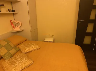 apartament 3 camere , zoma hipermarket Kaufland , parter , 70 mp , renovat integral , mobilat complet - foto 15