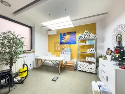 Piata Victoriei | 7 Camere | Metrou 4 ''| Vila Individuala - foto 12